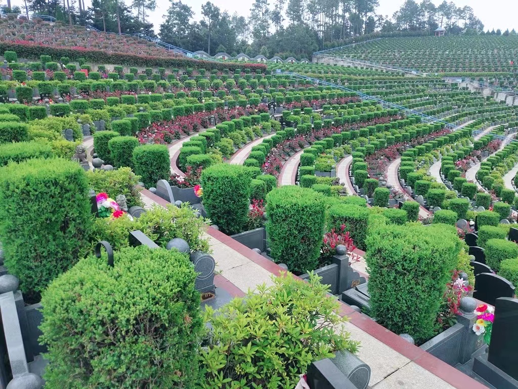 天堂陵园墓区 (8).jpg