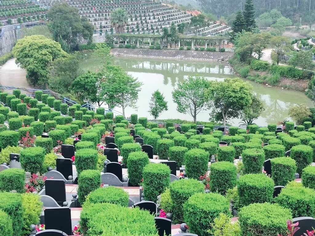 天堂陵园墓区 (1).jpg