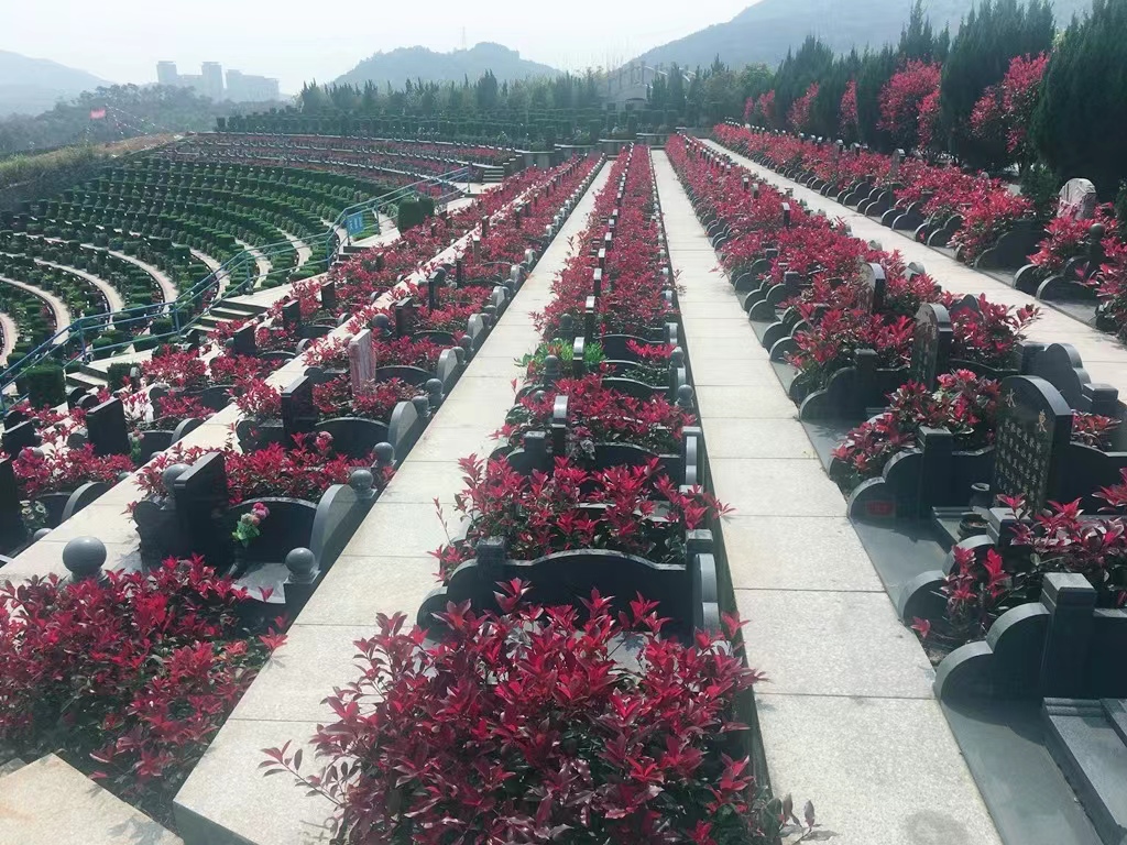 天堂陵园23