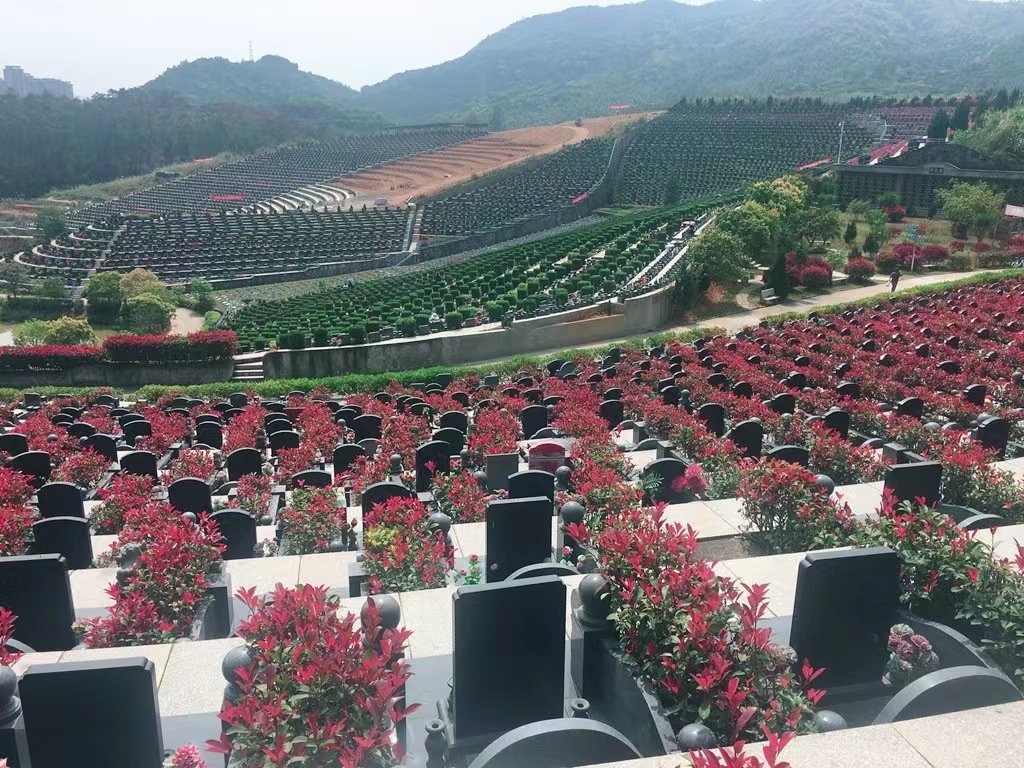 天堂陵园27