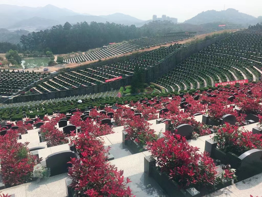 天堂陵园14